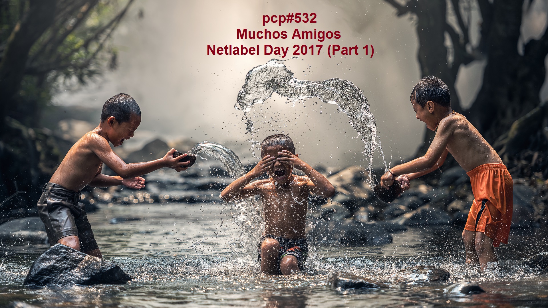 PCP#532... Muchos Amigos... (Netlabel Day 2017, Part 1)