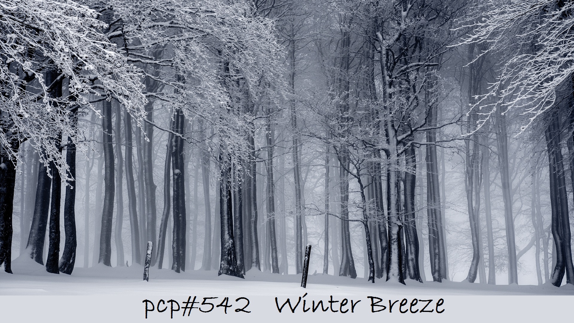 PCP#542... Winter Breeze