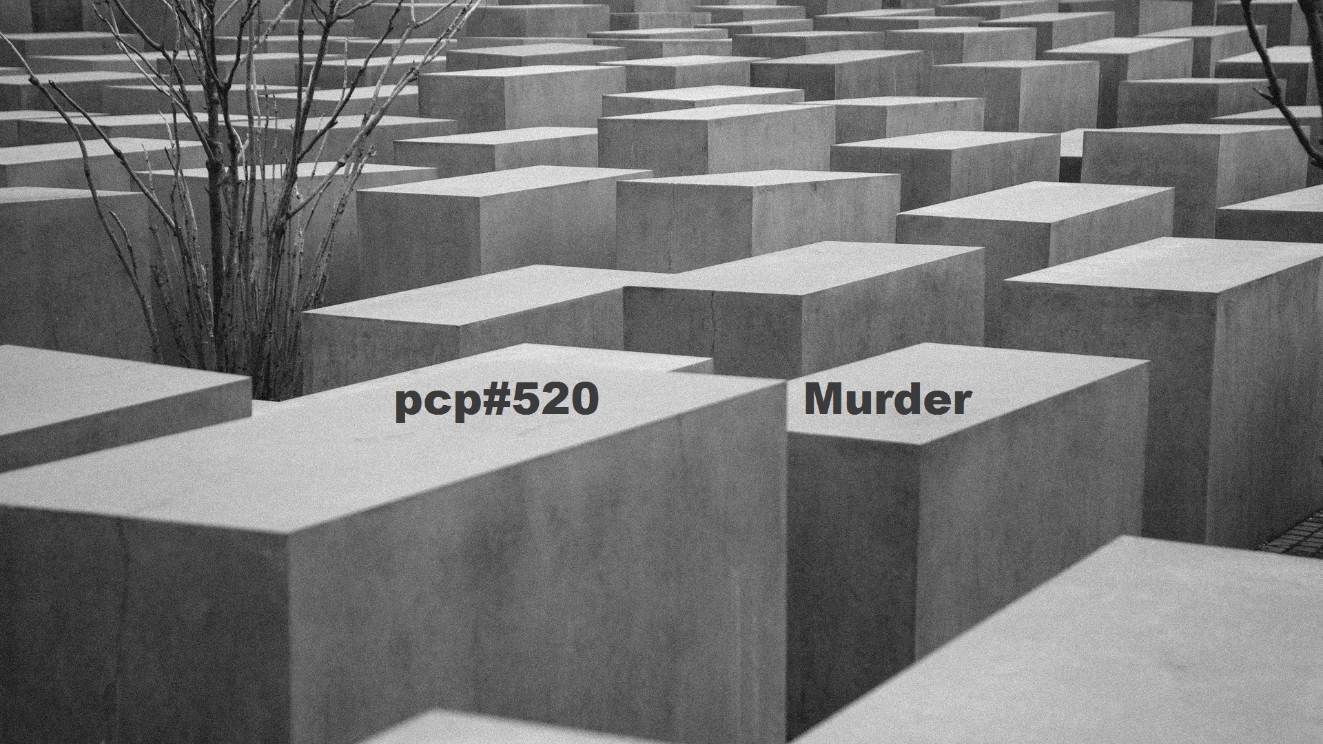 PCP#520... Murder...