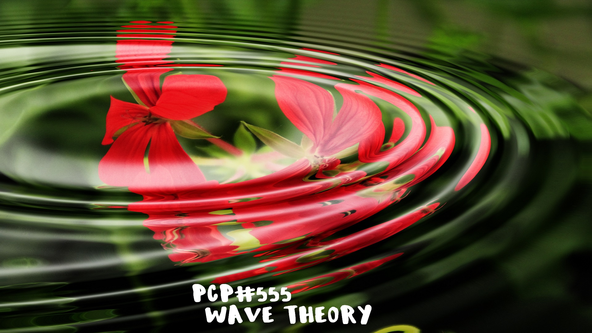 PCP#555... Wave Theory...