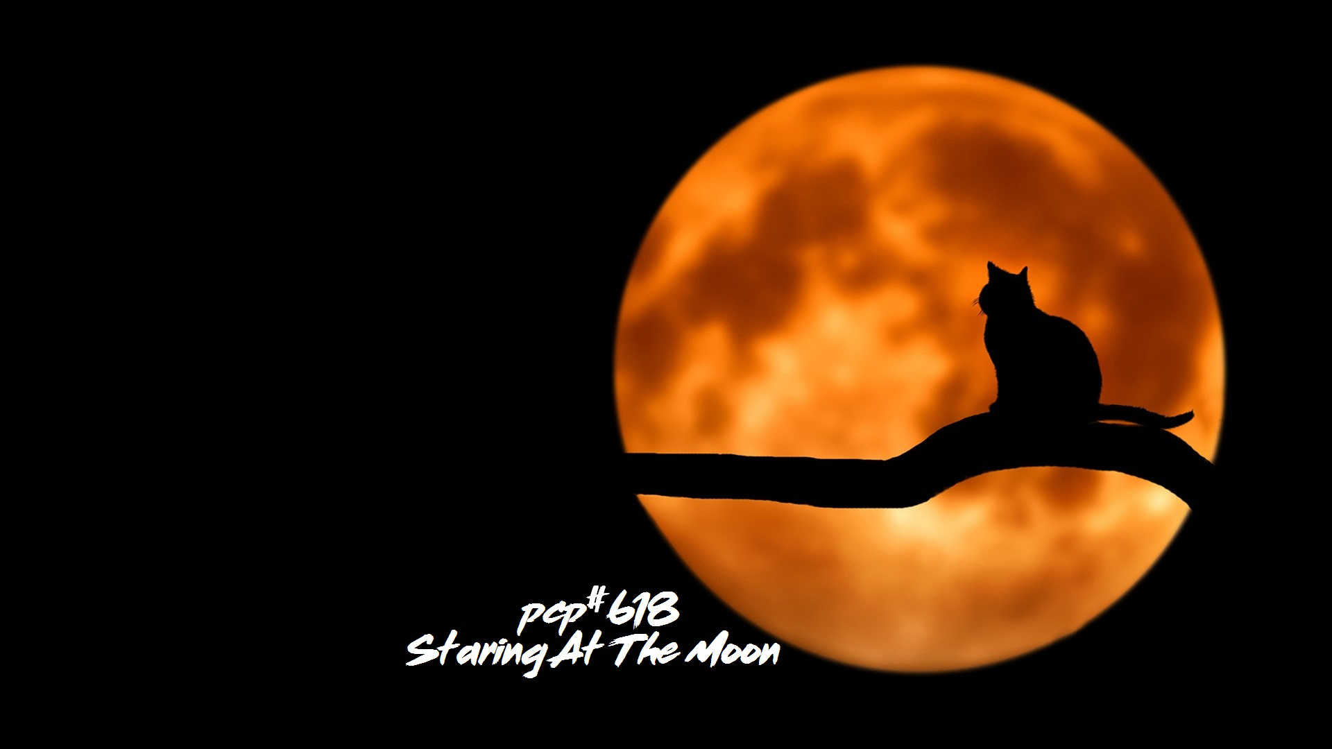 PCP#618... Staring At The Moon....