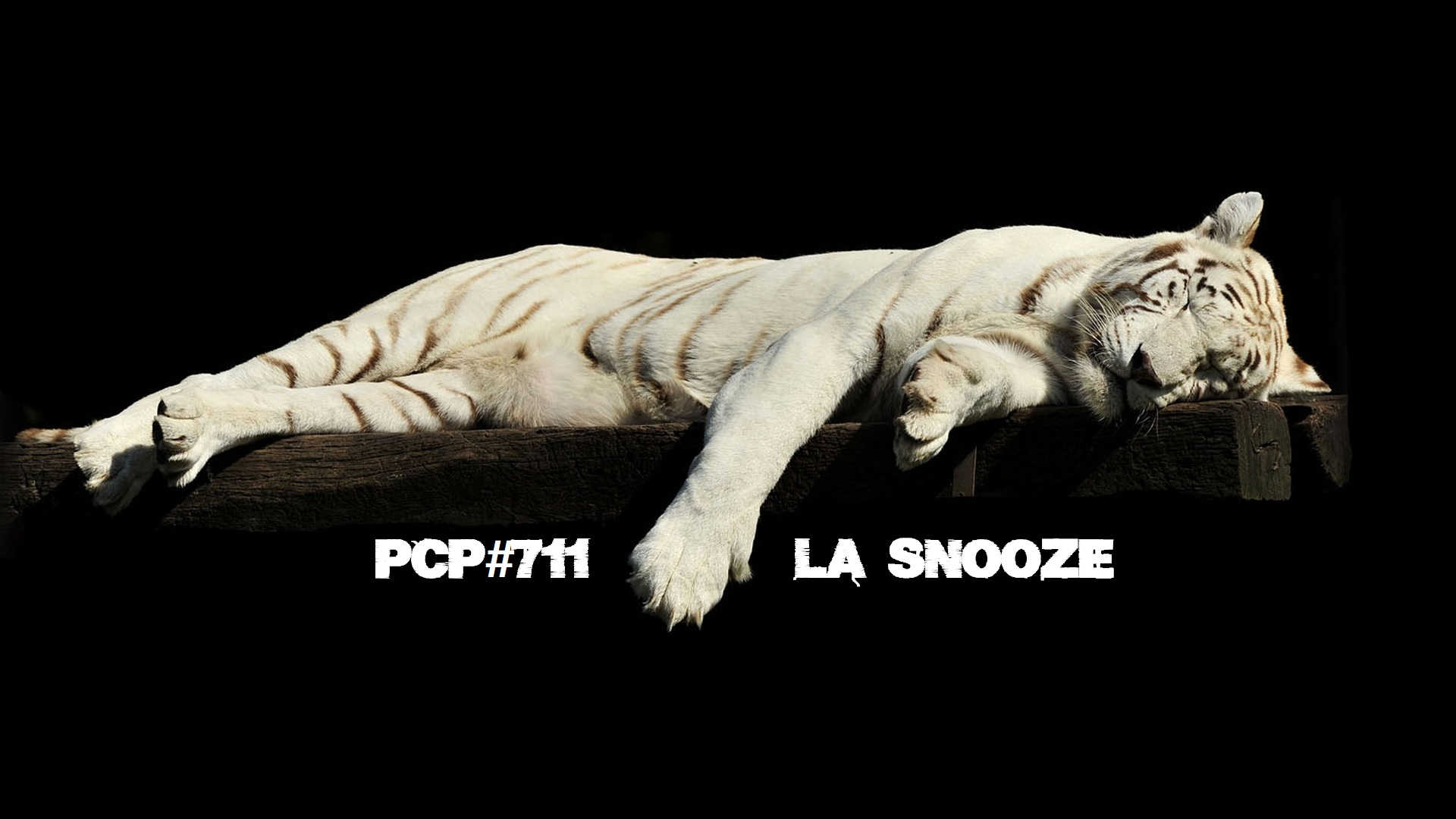 PCP#711... La Snooze.....