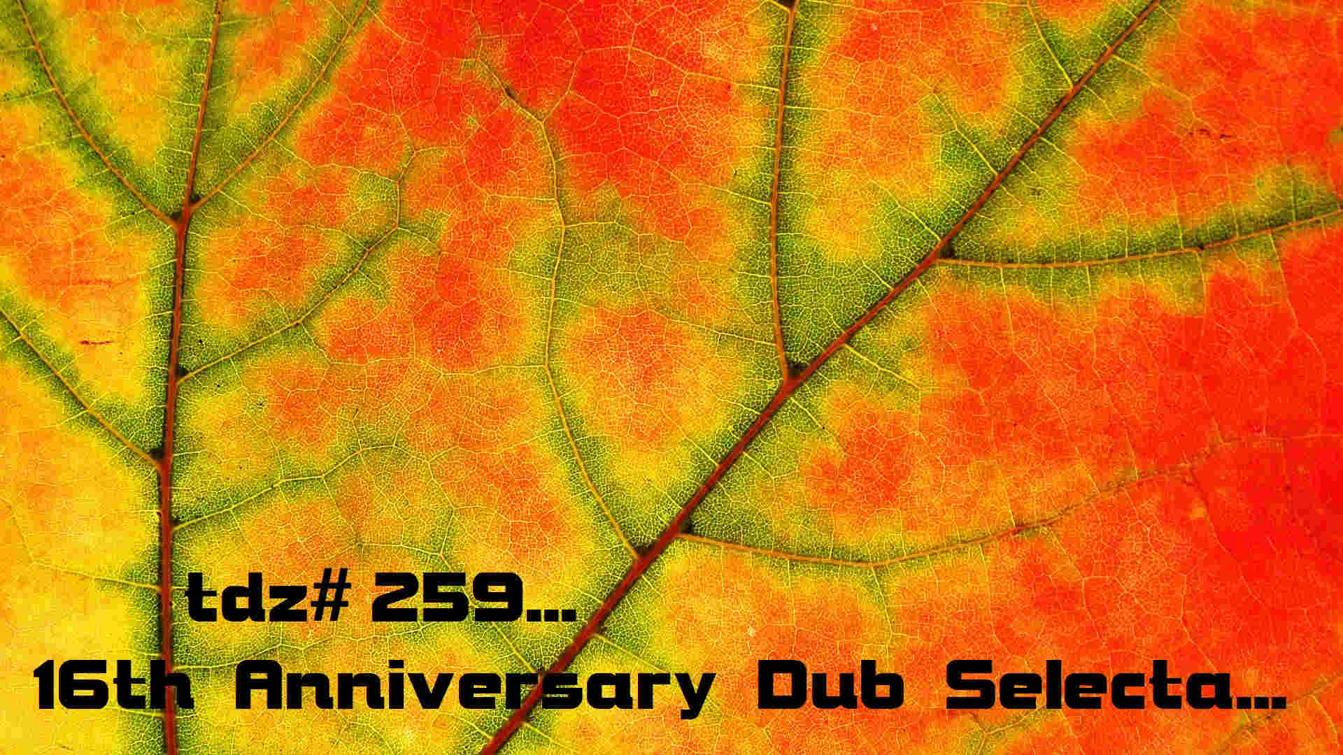 TDZ#259... 16th Anniversary Dub Selecta...