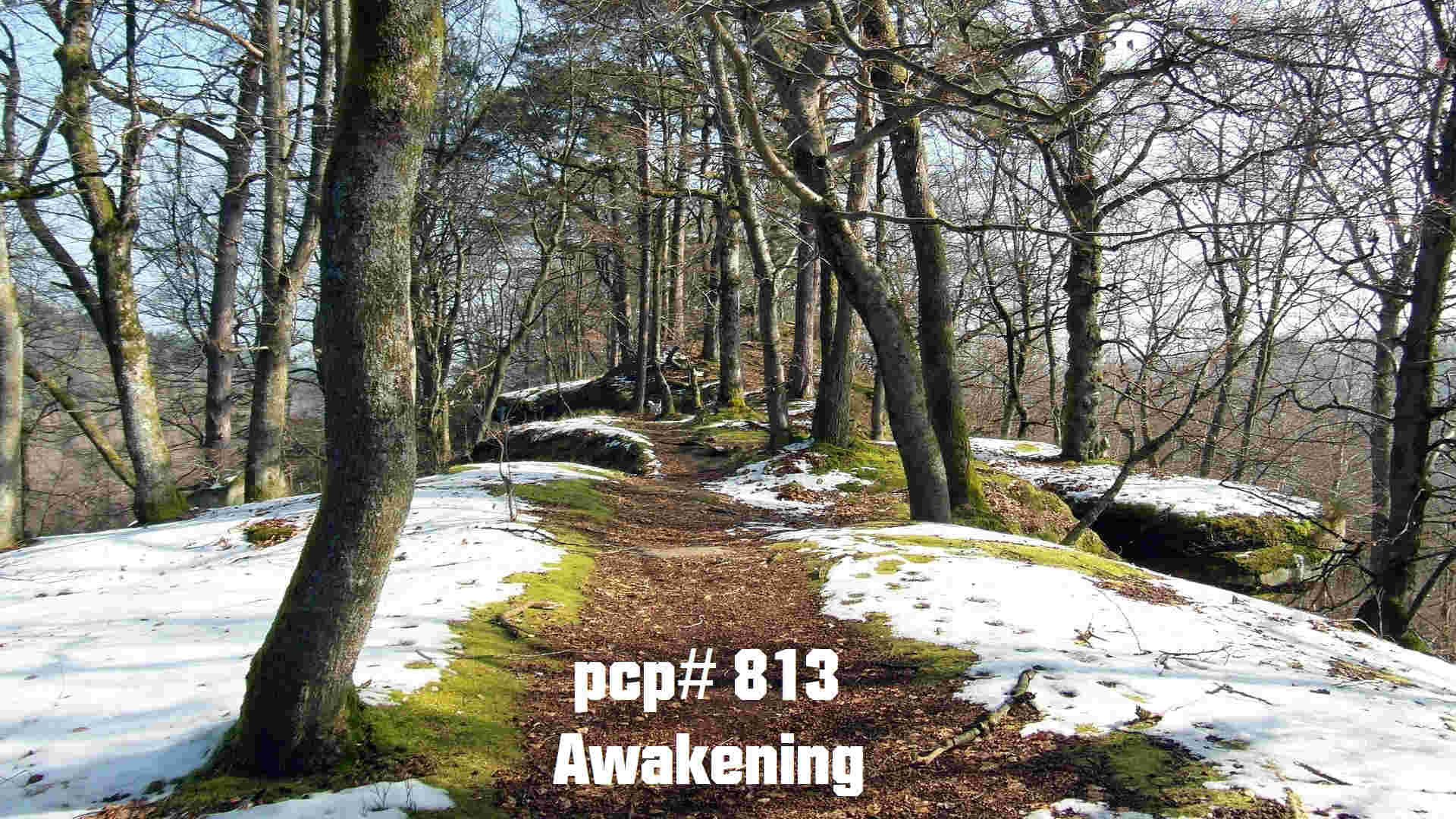 PCP#813... Awakening...