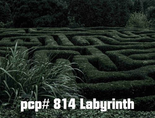 PCP#814… Labyrinth…