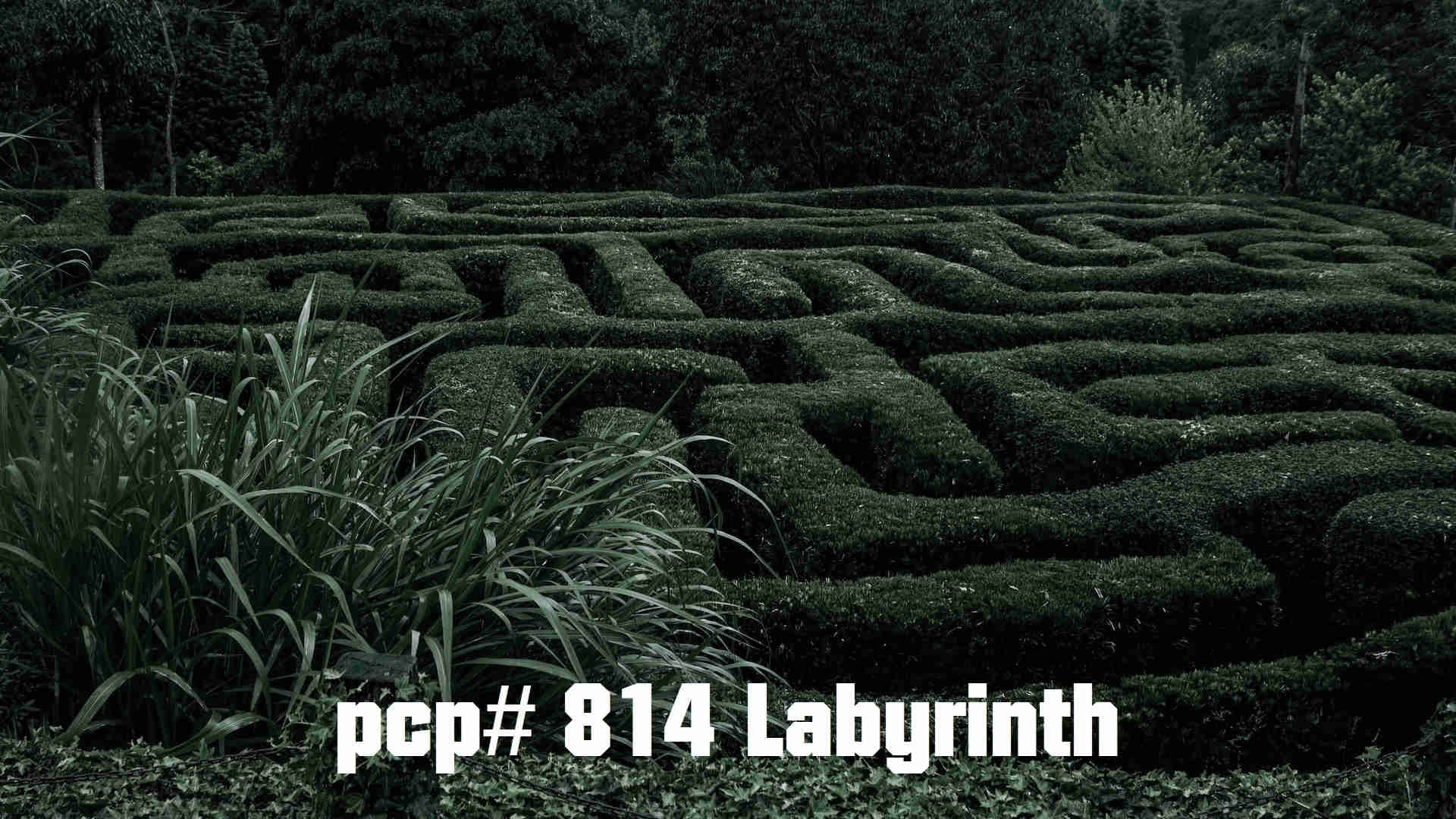 PCP#814... Labyrinth...