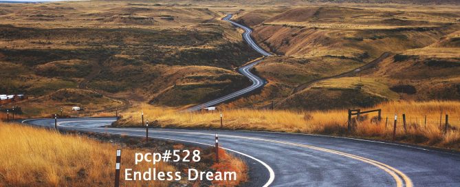 PCP#528... Endless Dream...