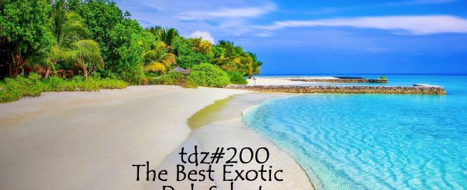 TDZ#200... The Best Exotic Dub Selecta...
