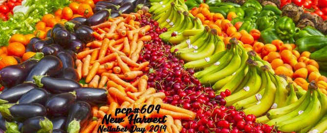 PCP#609... New Harvest... Netlabel Day 2019 (Part 4 of 4)...