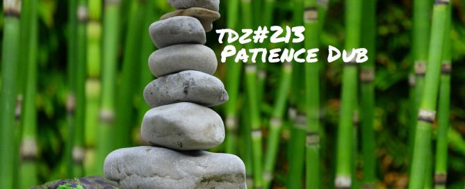 TDZ#213... Patience Dub .....