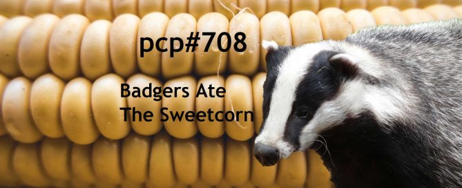PCP#708... Badgers Ate The Sweetcorn.....