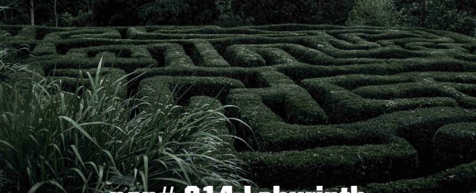 PCP#814... Labyrinth...