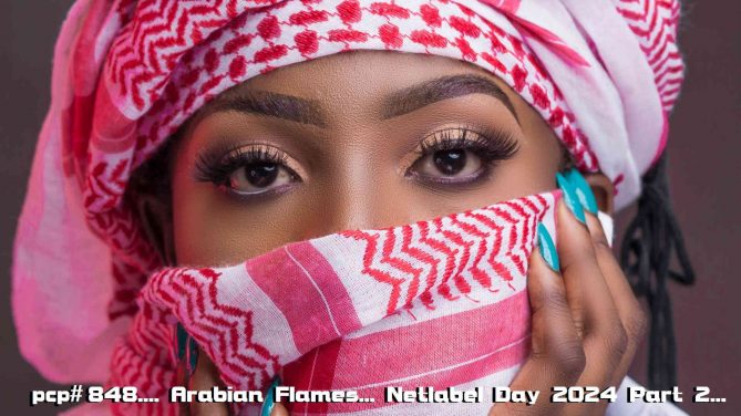 PCP#848... Arabian Flames...Netlabel Day 2024 Part 2...