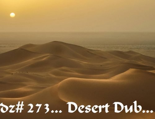 TDZ#273… Desert Dub…
